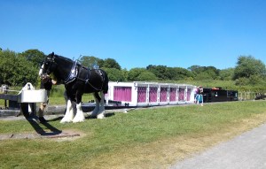 Floating Cinema at Caen Hill locks, Devizes
