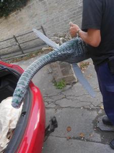 Lego model of Plesiosaur, Bridport Museum