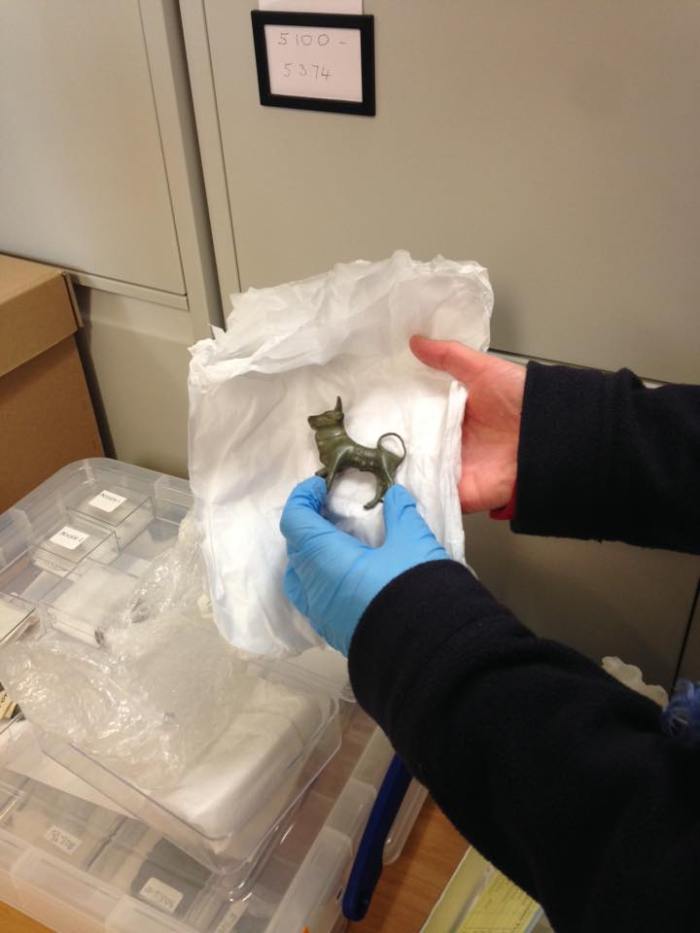 Roman bull at Bridport Museum