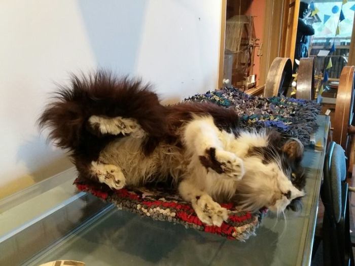 It was all a bit much for Teazel the museum cat