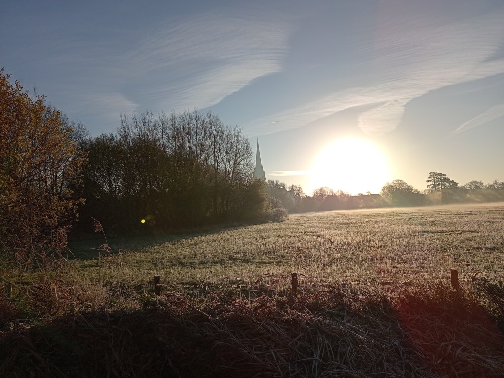 Salisbury Cathedral from the Meadows